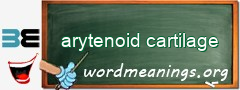 WordMeaning blackboard for arytenoid cartilage